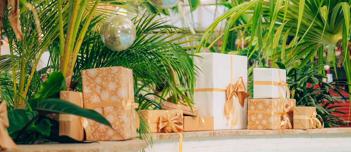 Schönverpackte Weihnachtsgeschenke unter grünen tropischen Palmen am Wasser