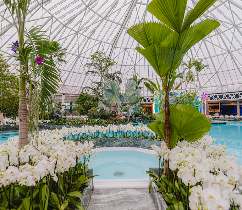 Orchideen-Whirlpool