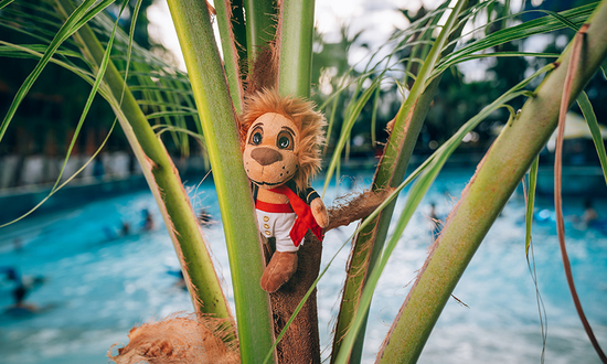 The mascot of Therme Erding, Nelson the lion, as a cuddly toy