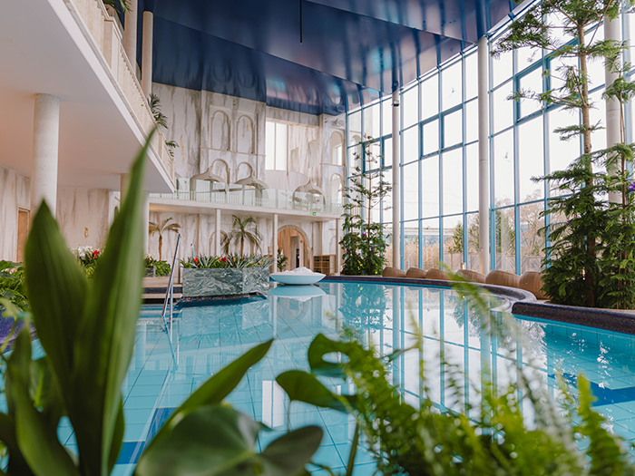 Der Pool Polaris, umgeben von grünen Pflanzen.