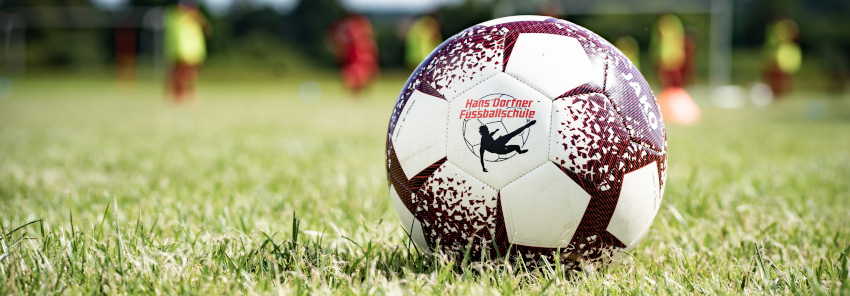 Ein Fussball auf dem Rasen. Mit Hans Dorfer Fussballschule Logo.