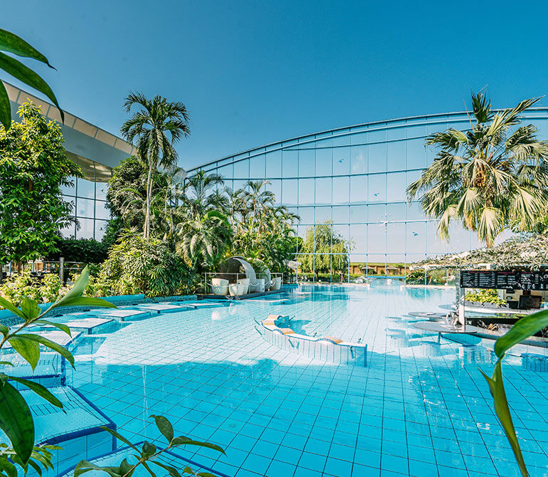 A large vitality pool with clear water, surrounded by palm trees and tropical plants under a glass roof at Therme Erding