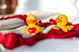 Hotel Victory Therme Erding Romantic Package