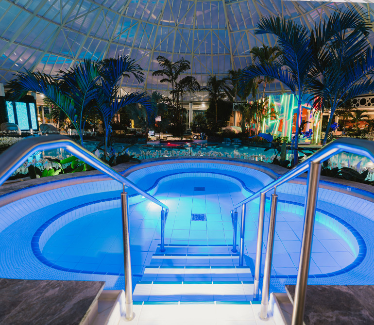 Evening atmosphere at the tropical pool with palm trees in the background