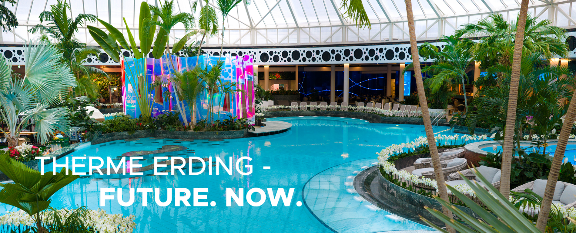 Das große Thermenbecken mit der neuen Re-flexion Sauna, umgeben von Palmen und Pflanzen.