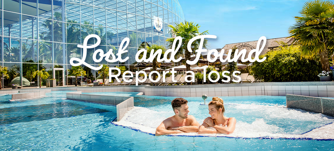 Lost and found - report a loss